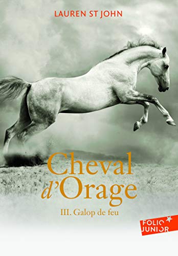 CHEVAL D'ORAGE, T 03 : GALOP DE FEU